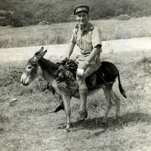 Douglas in North Africa, July 1943