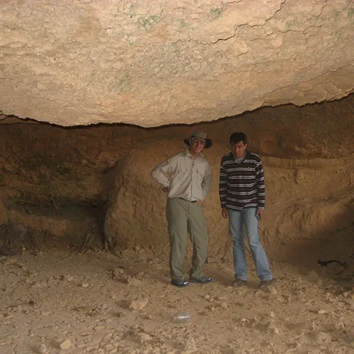 Australian fig tree dressing station near tobruk
