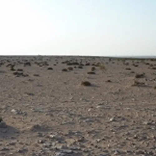 Approach to point 175