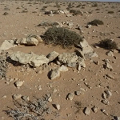 Close-up of some of the sangars.